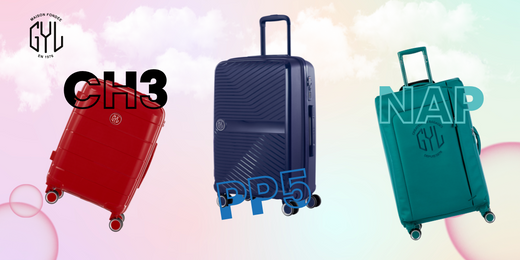 GYL BAG : Qui sommes-nous et que proposons-nous ?