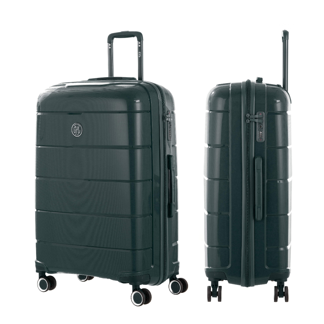VALISE MOYENNE SAPIN CH3