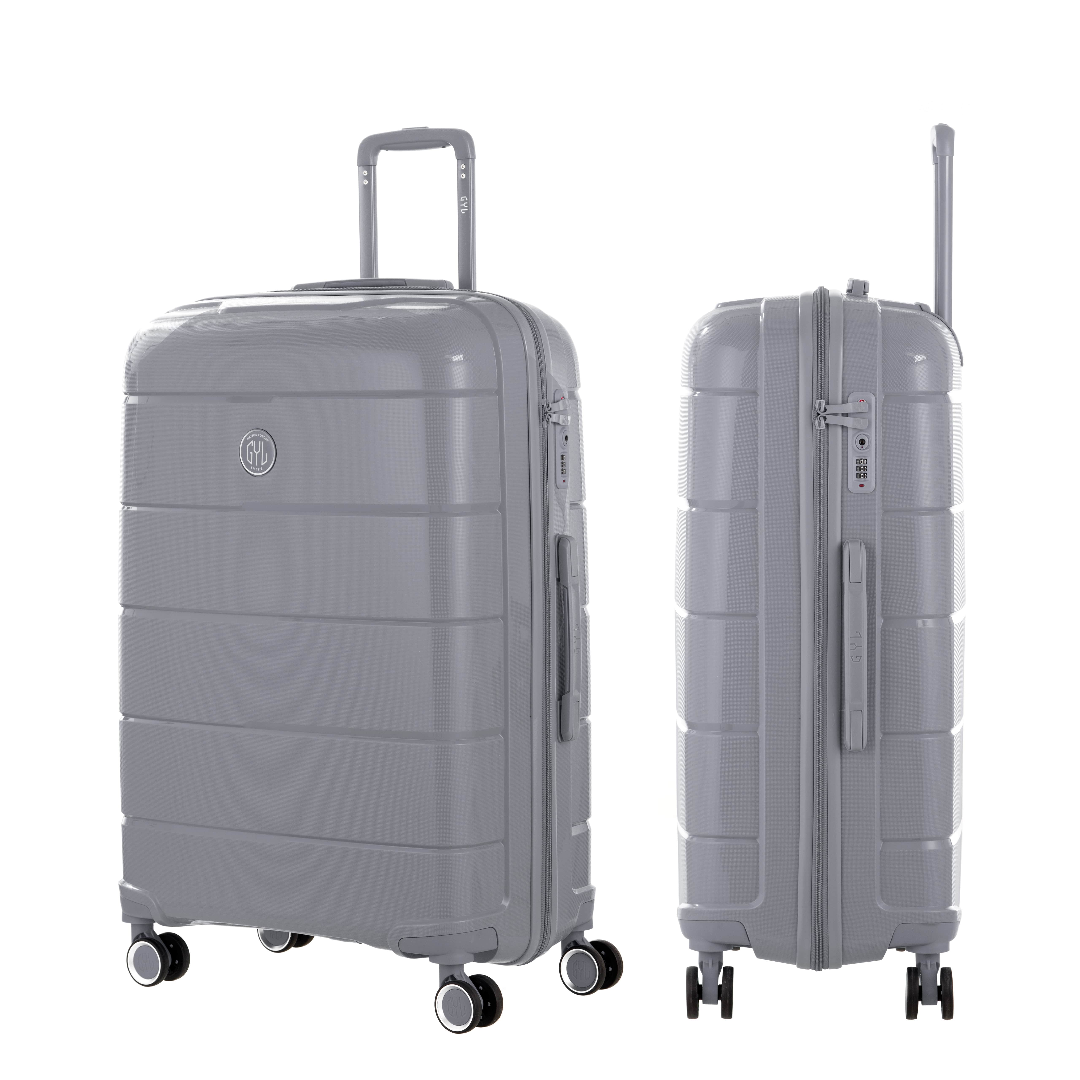 VALISE MOYENNE SILVER CH3