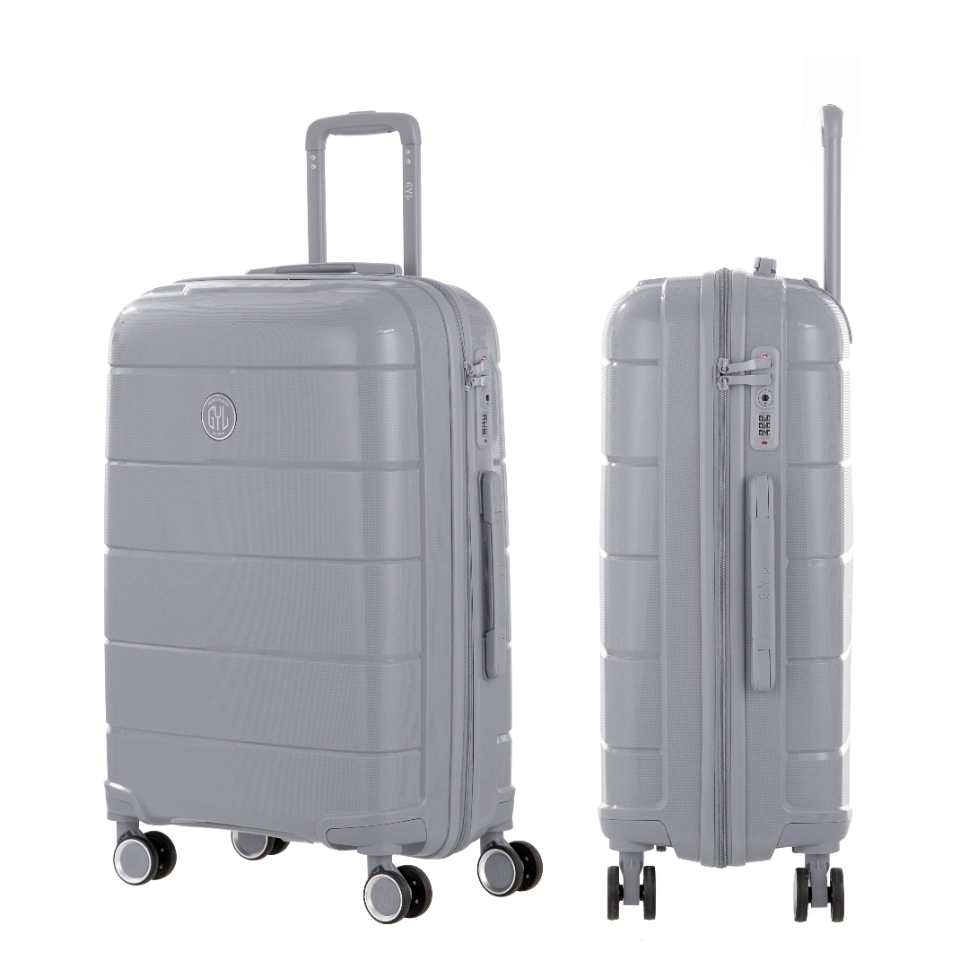 VALISE MOYENNE SILVER CH3