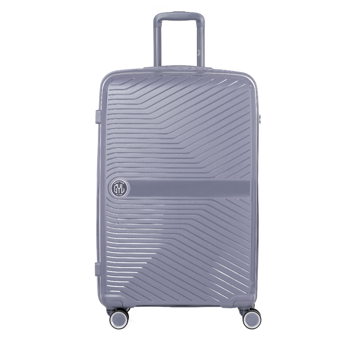 VALISE MOYENNE SILVER PP5