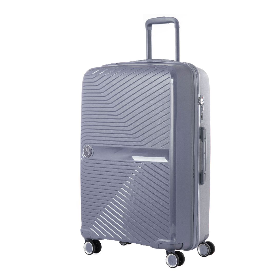 VALISE MOYENNE SILVER PP5