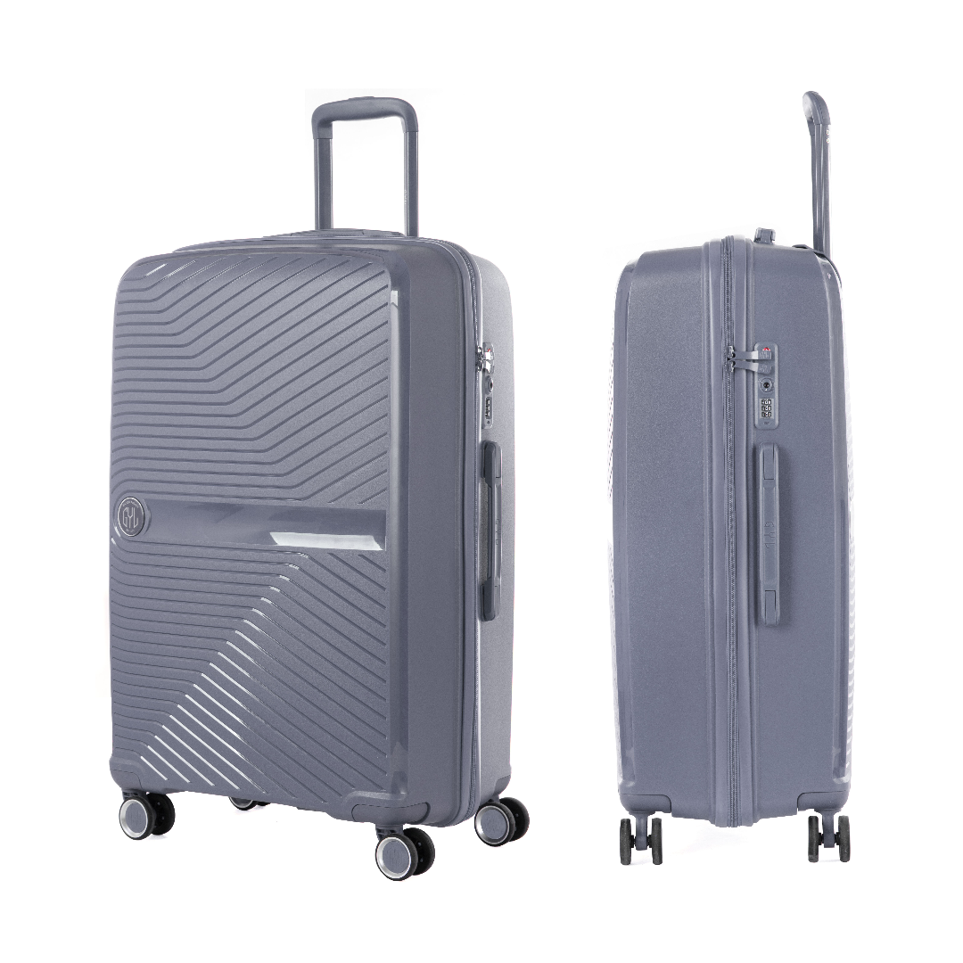 VALISE MOYENNE SILVER PP5