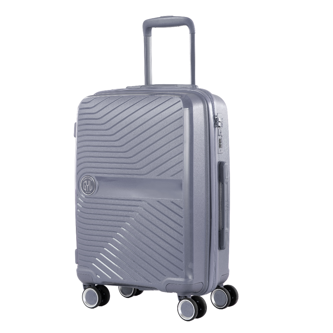 VALISE MOYENNE SILVER PP5