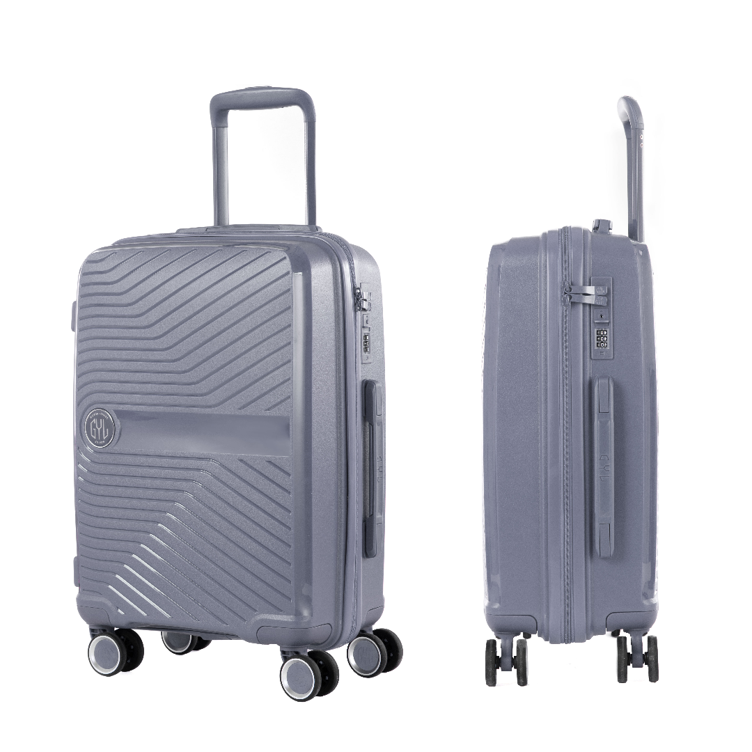 VALISE MOYENNE SILVER PP5