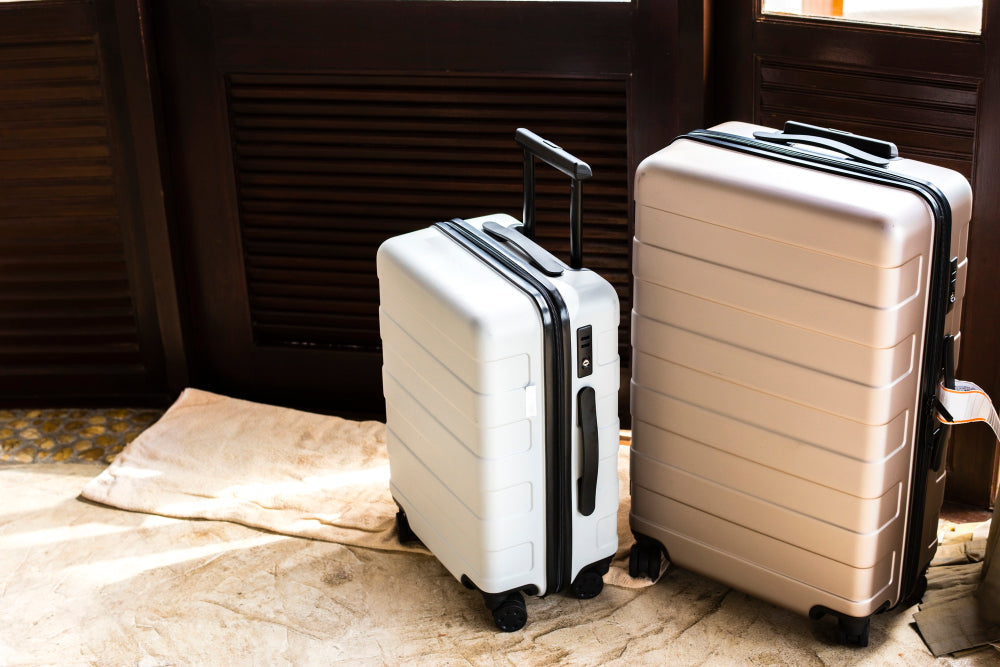 Poids Maximum des Bagages Cabine
