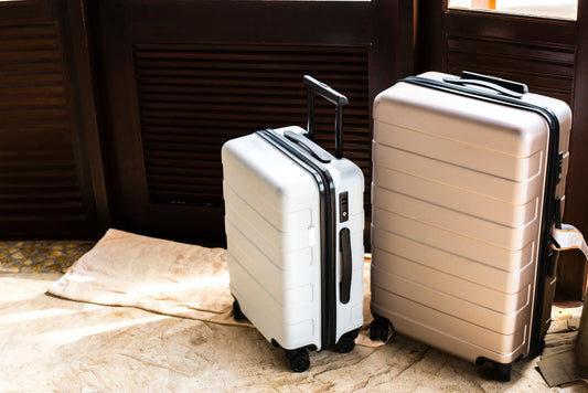 Poids Maximum des Bagages Cabine