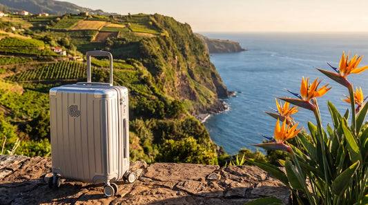 Valise cabine GYL Intemporelle argent sur un belvedere de Madere face a l'ocean Atlantique