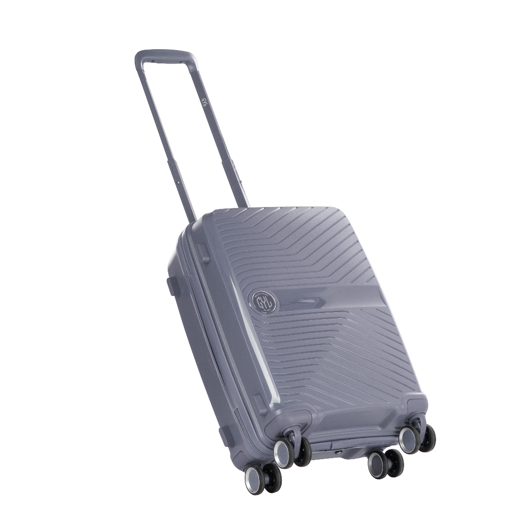 VALISE RIGIDE SILVER PP5 GRANDE (TAILLE L)