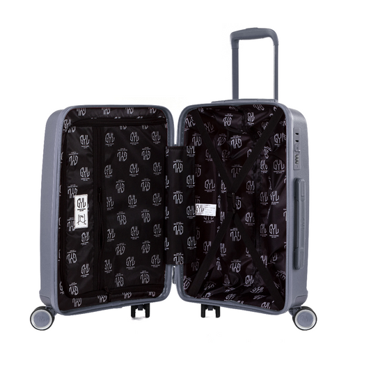 VALISE CABINE SILVER PP5