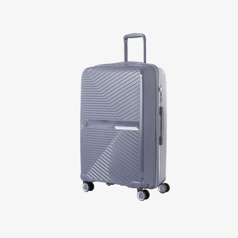 VALISE RIGIDE SILVER PP5 GRANDE (TAILLE L)