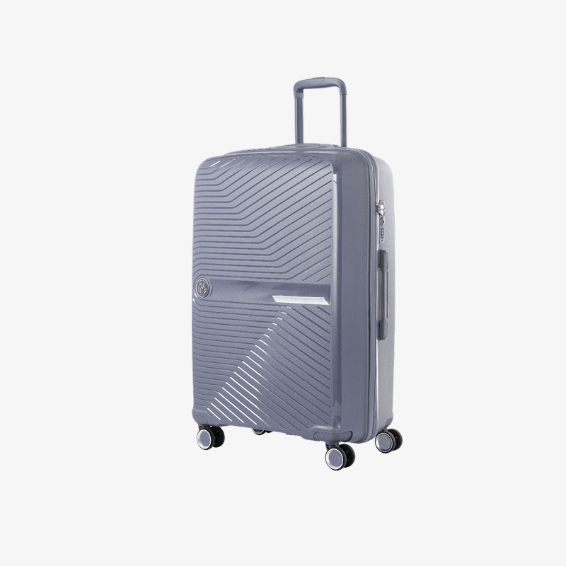 VALISE RIGIDE SILVER PP5 GRANDE (TAILLE L)