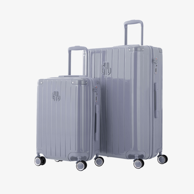 SET DE 2: VALISES RIGIDES SILVER FE204 (TAILLE S,M)