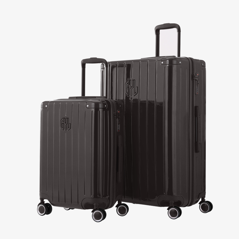 SET DE 2: VALISES RIGIDES BLACK FE204 (TAILLE S,M)