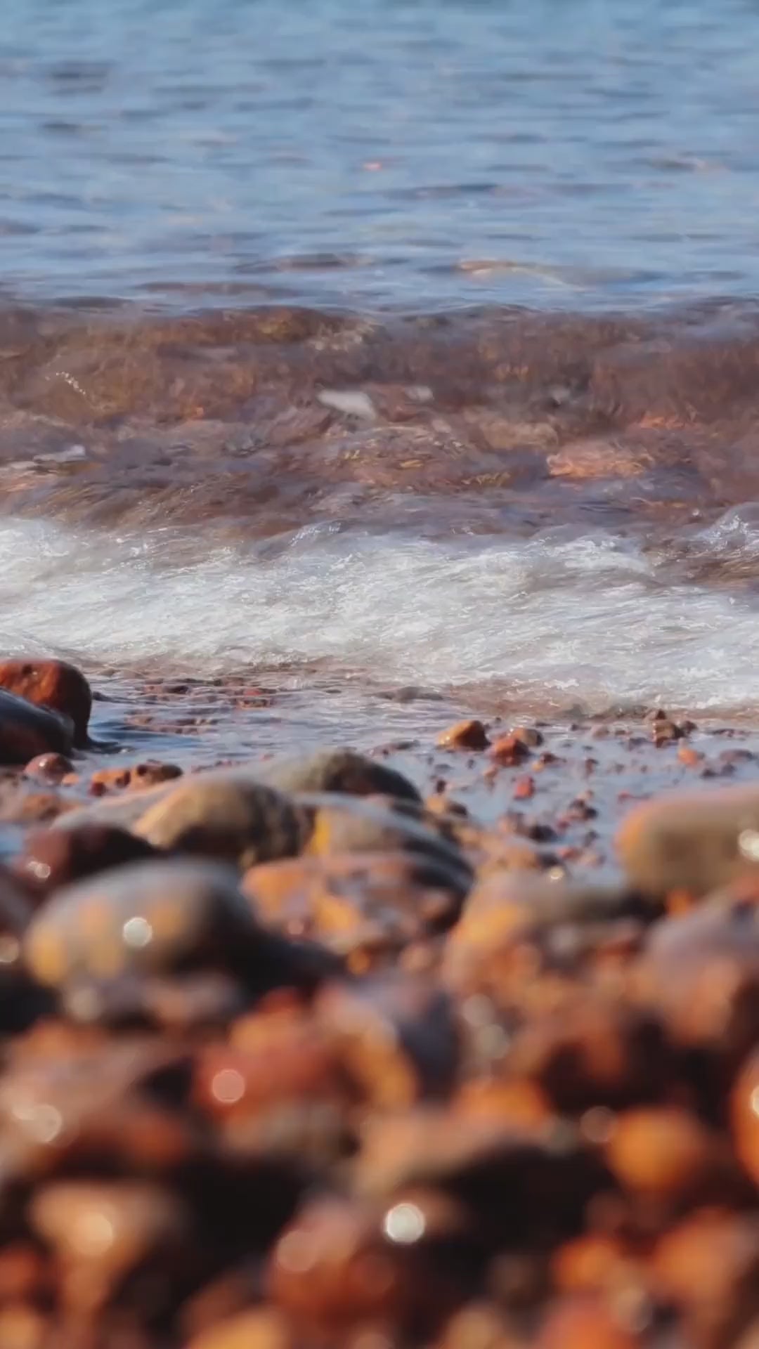 Deux jeunes femmes en vacances d'été avec leurs valises rigides GYL (noire, bleue, rose magenta) entre plage, palmiers et bord de mer